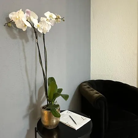 Lindo En El Centro De Apartment *